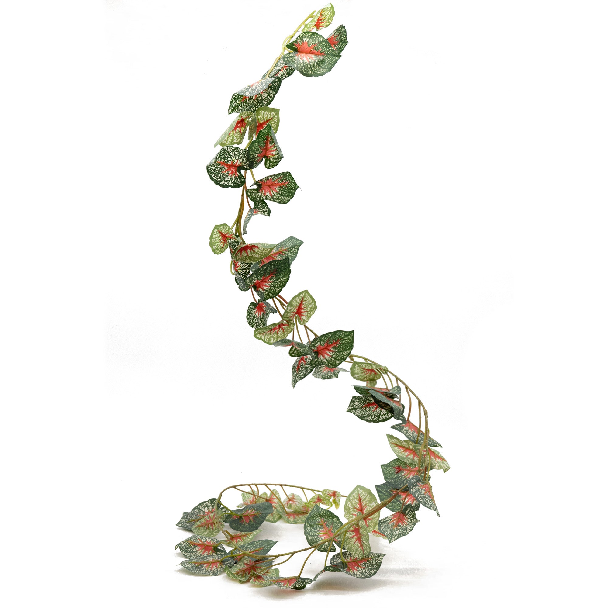 Pangea Leafy Vine