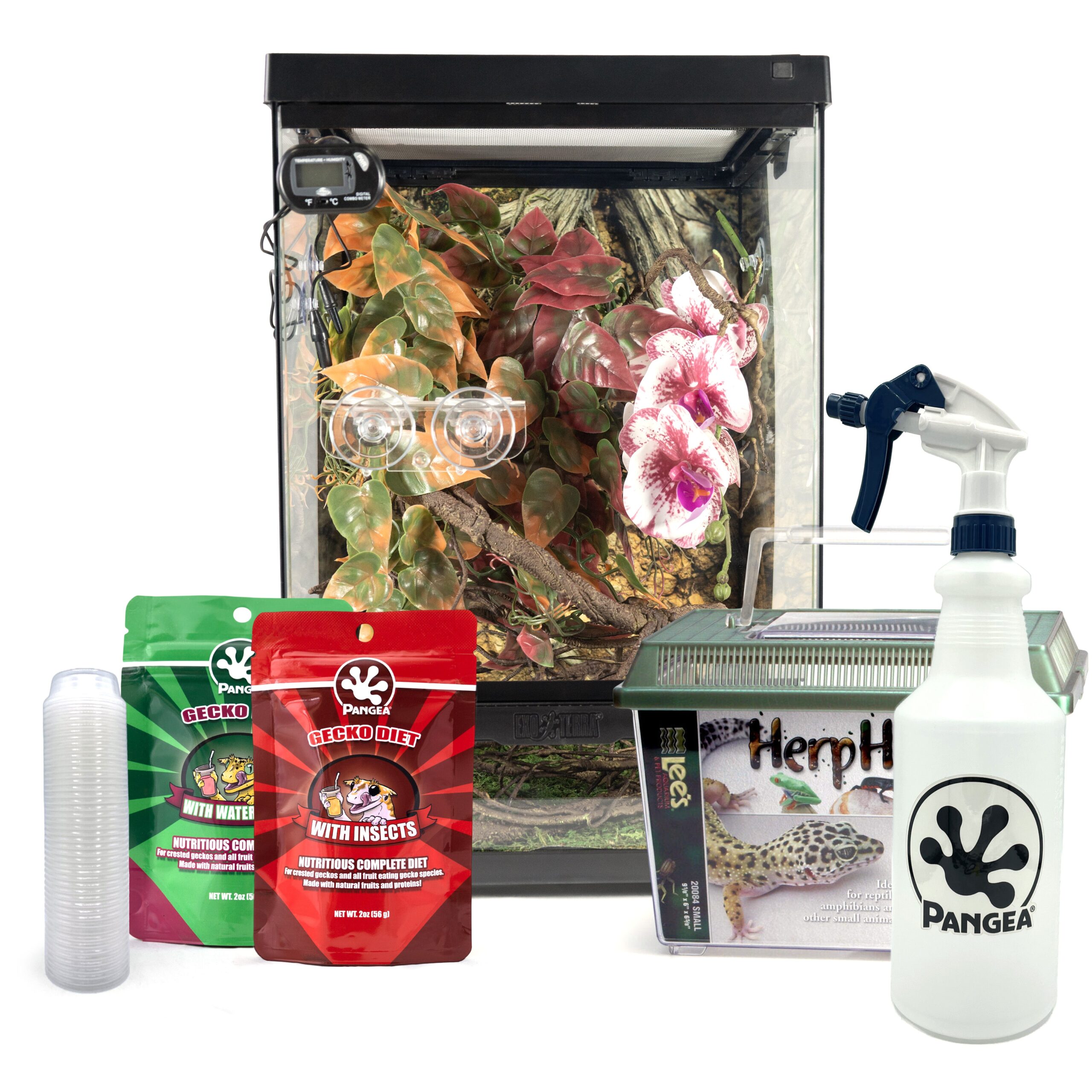 Complete Crested Gecko Kit