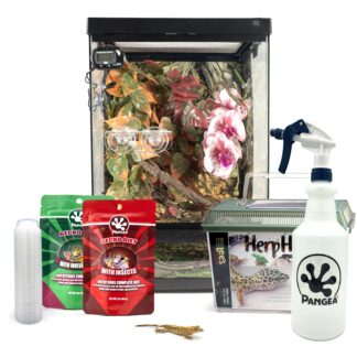 Complete Crested Gecko Kit with Free Gecko!