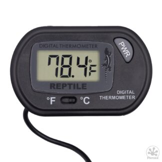 Pangea Digital Thermometer