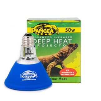 Pangea Infrared Deep Heat Projector