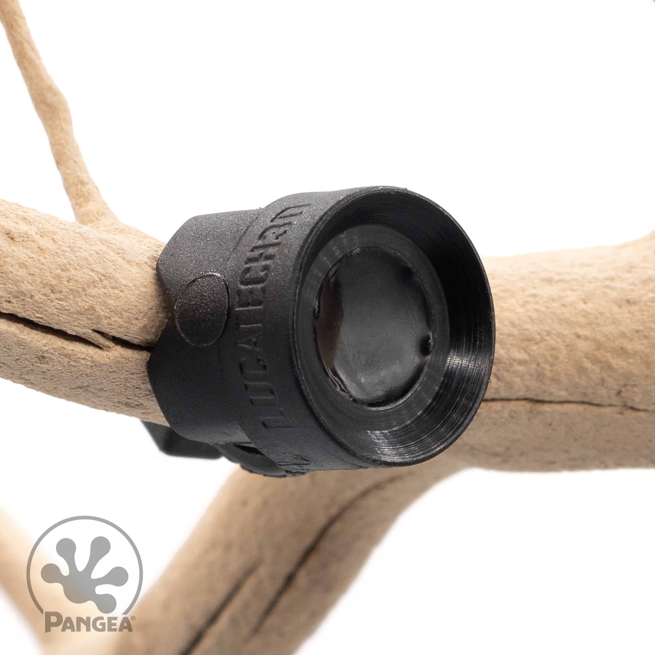 Pangea MicroDish - Branch Mount - Small (SYS1)