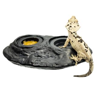 Pangea Ultimate Gecko Ledge - Magnetic